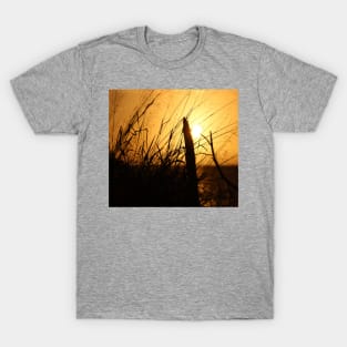 Tropical sunset T-Shirt